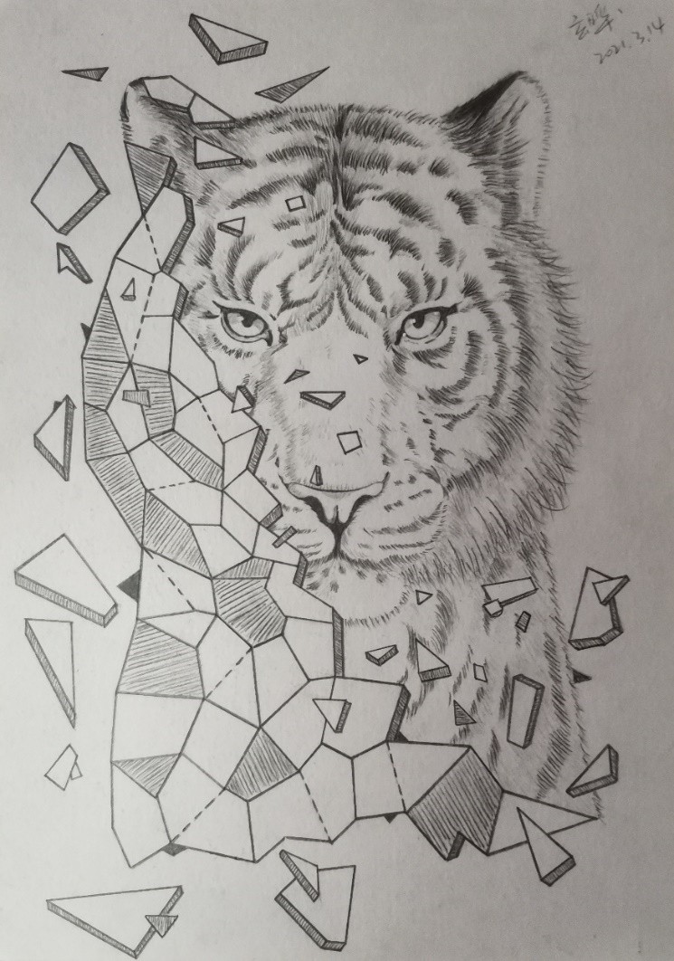 bv伟德国际体育官方网站