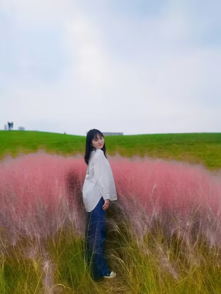 bv伟德国际体育官方网站