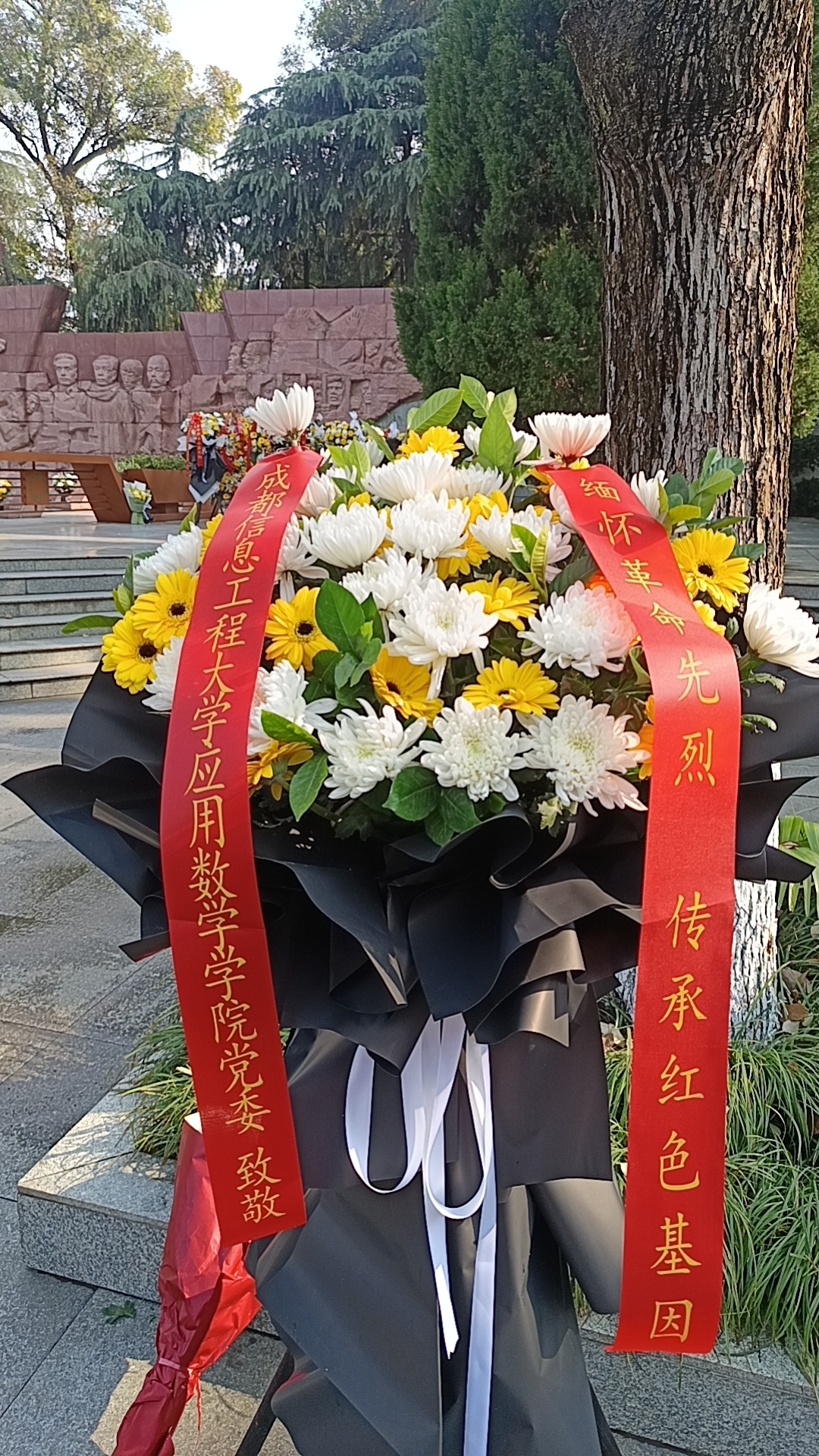 bv伟德国际体育官方网站