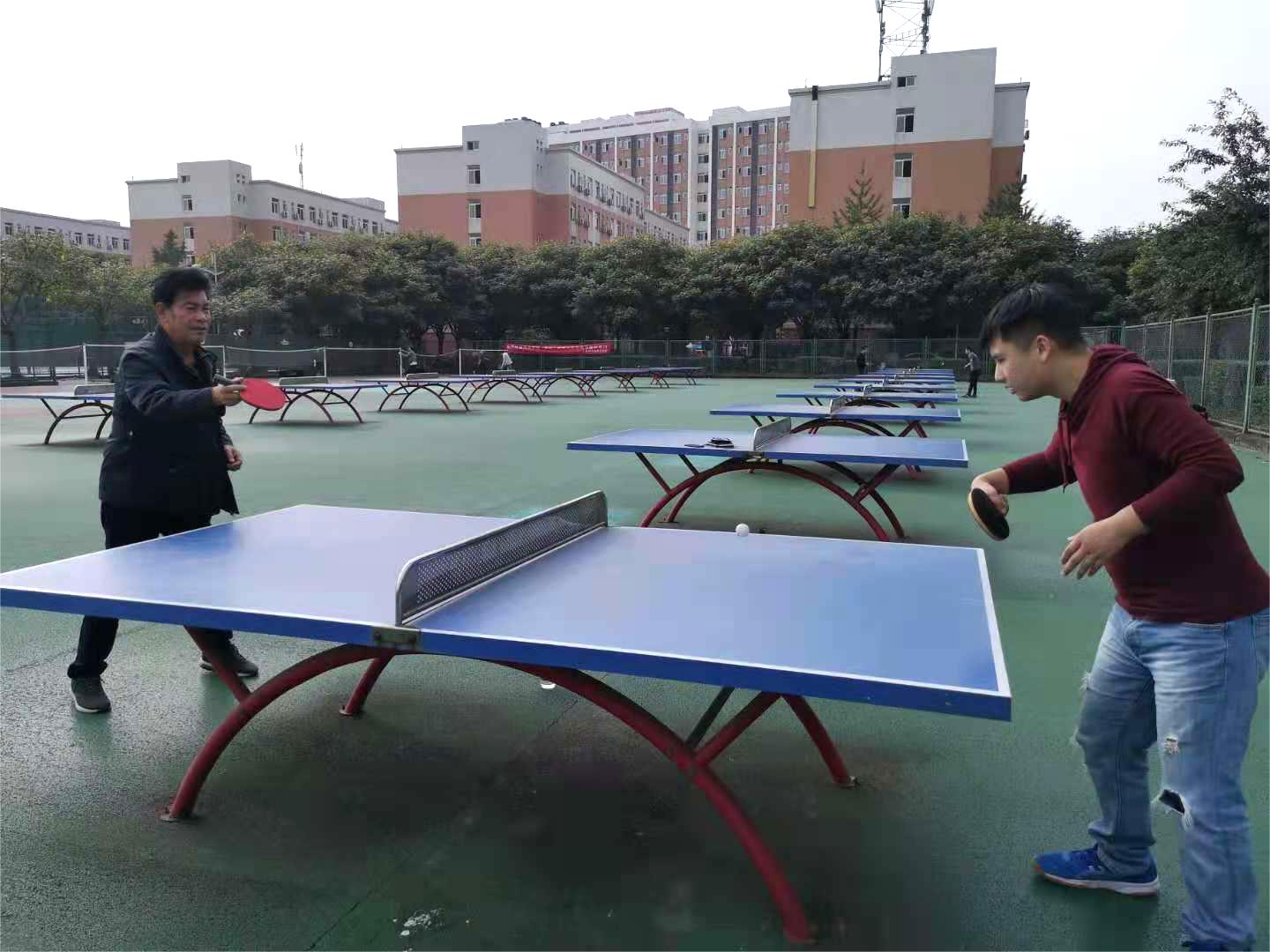 bv伟德国际体育官方网站