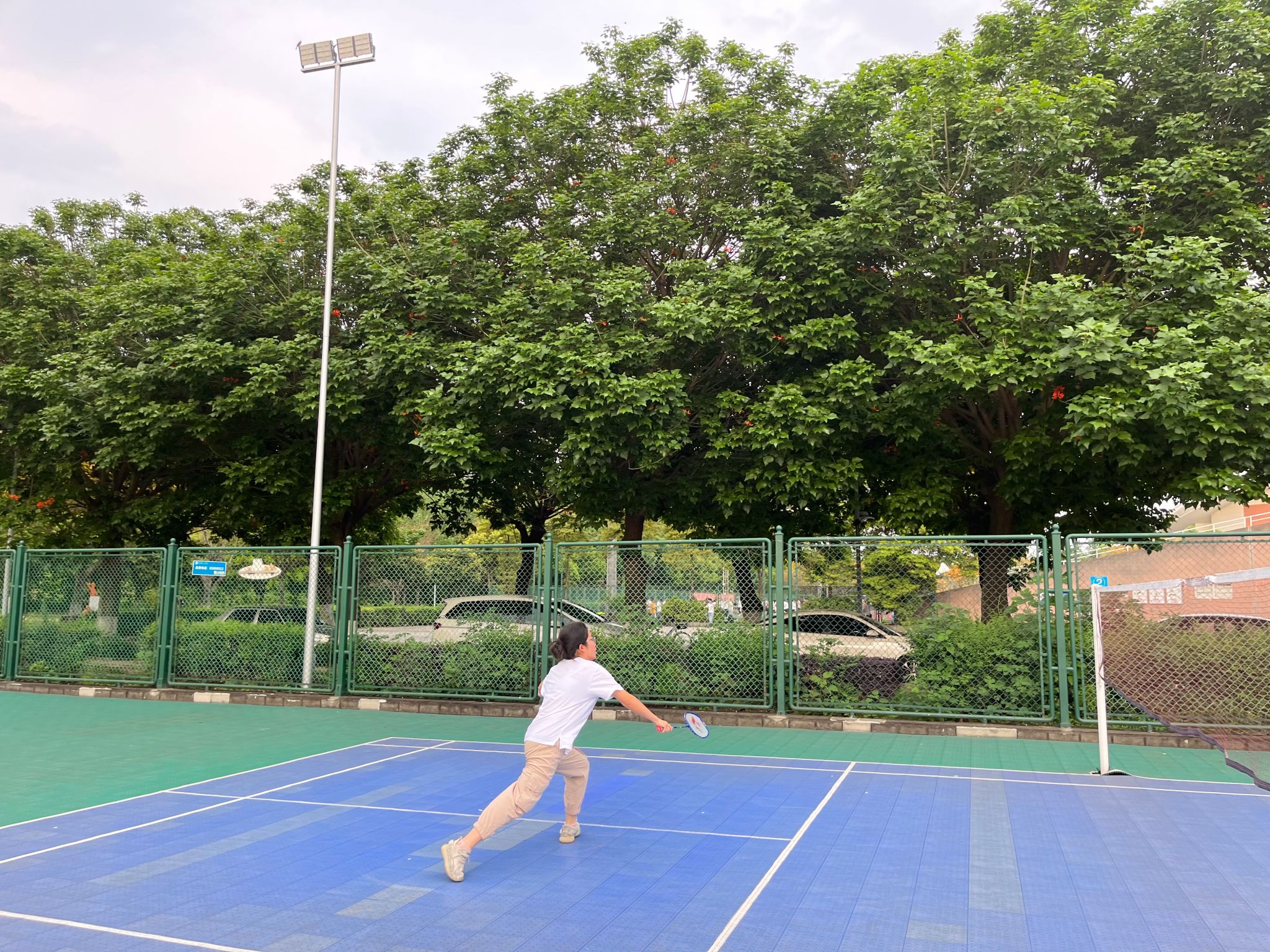 bv伟德国际体育官方网站