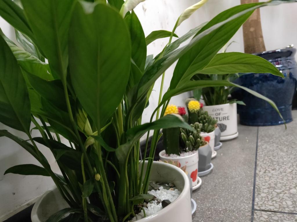 bv伟德国际体育官方网站